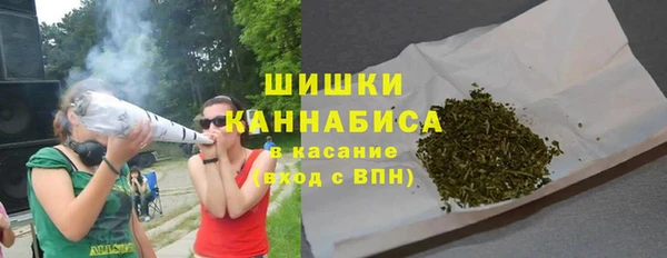 мдпв Горнозаводск