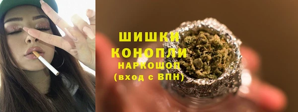 мдпв Горнозаводск