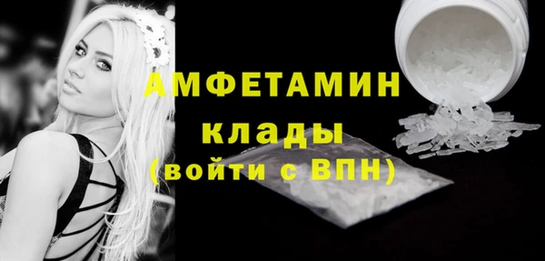 мдпв Горнозаводск
