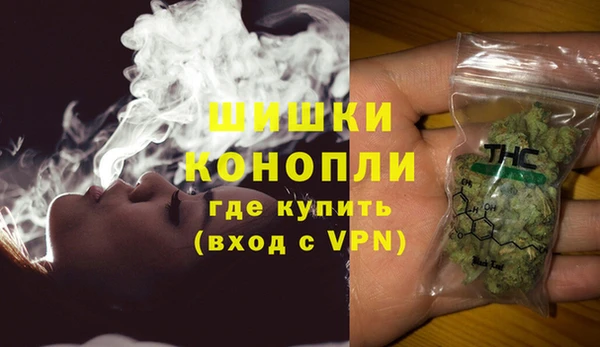 мдпв Горнозаводск