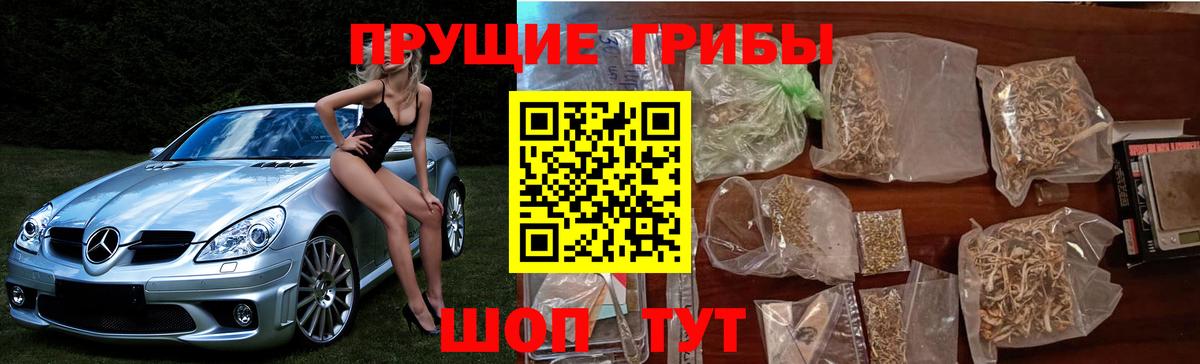 Москва  Псилоцибиновые грибы MAGIC MUSHROOMS  Вход с VPN 