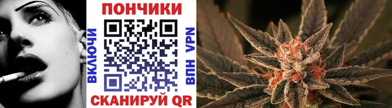 купить наркоту  Москва  Бошки Шишки ГИДРОПОН 