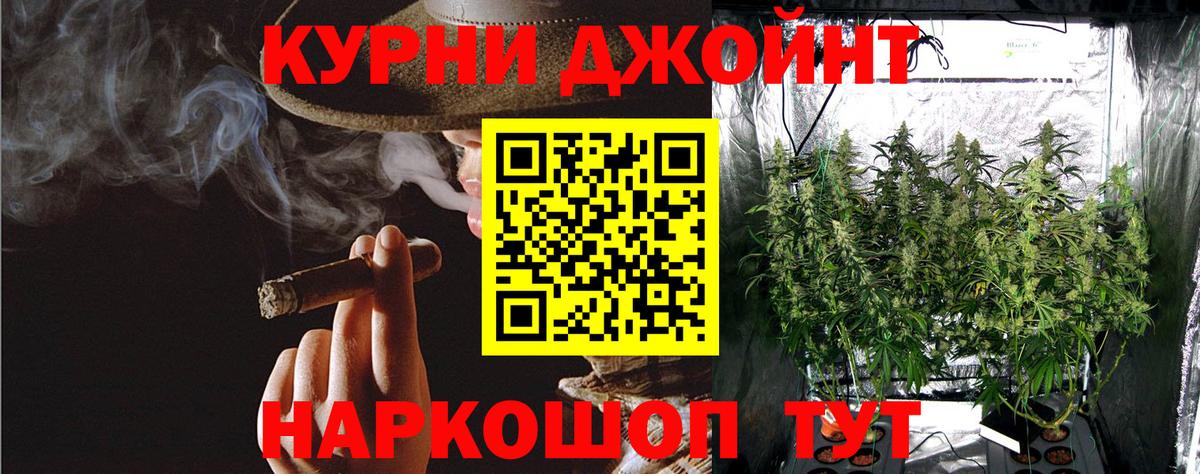 Конопля MAZAR Москва